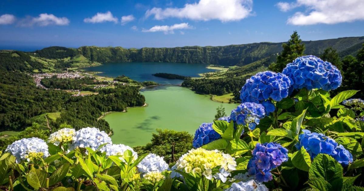 Barrocas Villas Azores São Roque Dış mekan fotoğraf